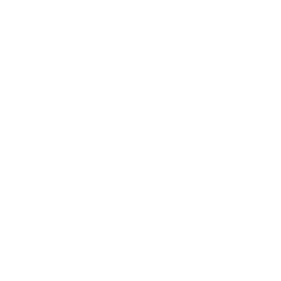 Search Icon